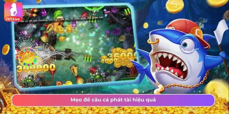 Cách Chơi Câu Cá Phát Tài MMLive Và Nhận Thưởng Hấp Dẫn Mẹo để câu cá phát tài hiệu quả