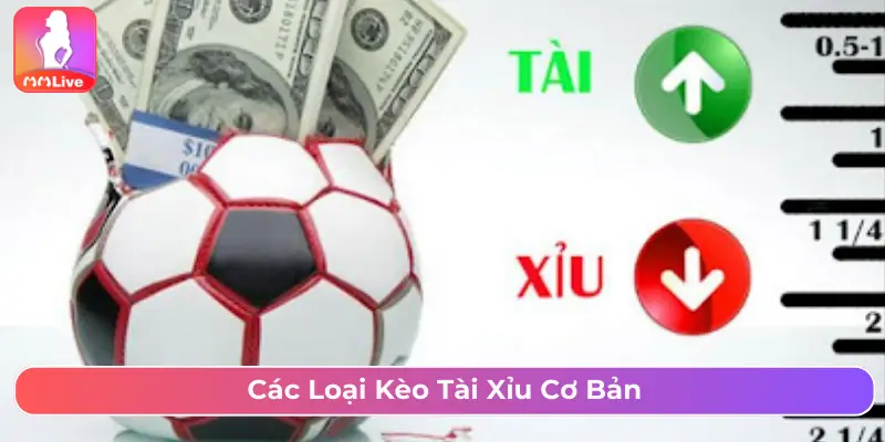 Các loại kèo Tài/Xỉu cơ bản