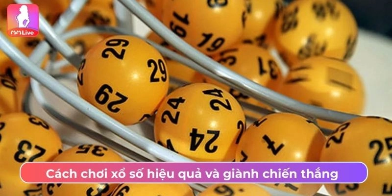 Cách chơi xổ số hiệu quả và giành chiến thắng 