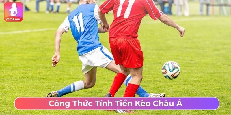 Kèo Châu Á Là Gì? Hướng Dẫn Chơi Cá Cược Cho Người Mới Cách tính kèo châu Á
