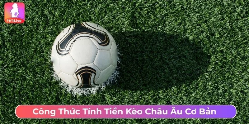 Cần nắm rõ cách tính kèo châu Âu