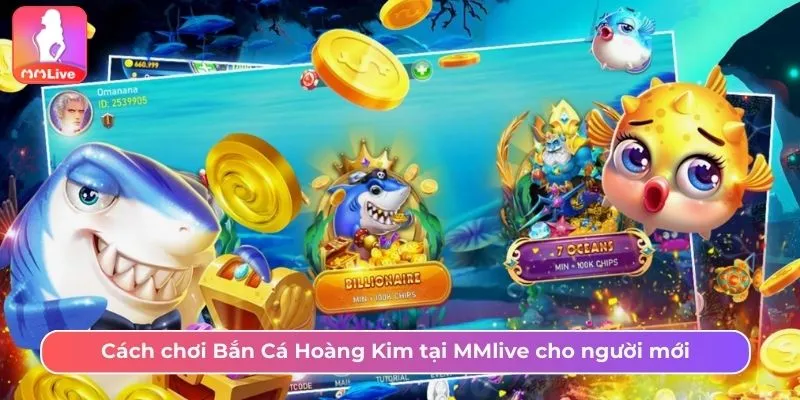 Cách Chinh Phục Cá Hoàng Kim MMlive Nhận Thưởng Hấp Dẫn Cách chơi Bắn Cá Hoàng Kim tại MMlive cho người mới