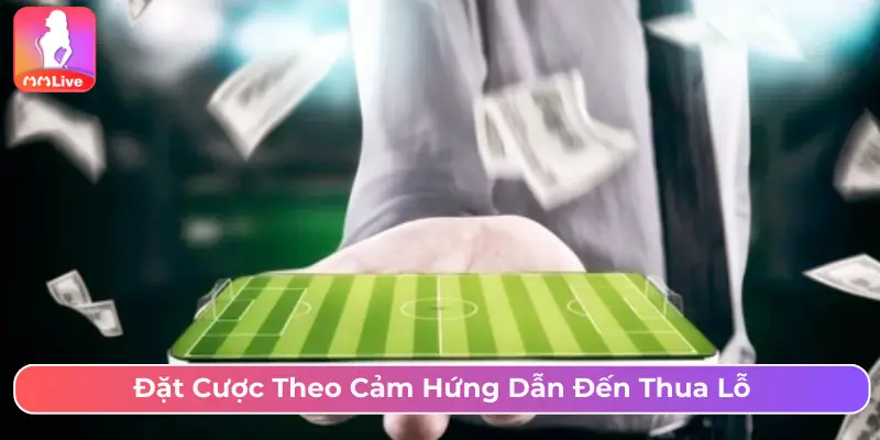 Mẹo Cược Kèo Chẵn Lẻ MMLive Chuẩn Và Tránh Bẫy Thua Lỗ Đặt cược theo cảm hứng dẫn đến thua lỗ