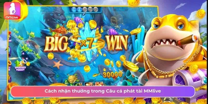 Cách Chơi Câu Cá Phát Tài MMLive Và Nhận Thưởng Hấp Dẫn Nhận thưởng trong Câu cá phát tài MMlive