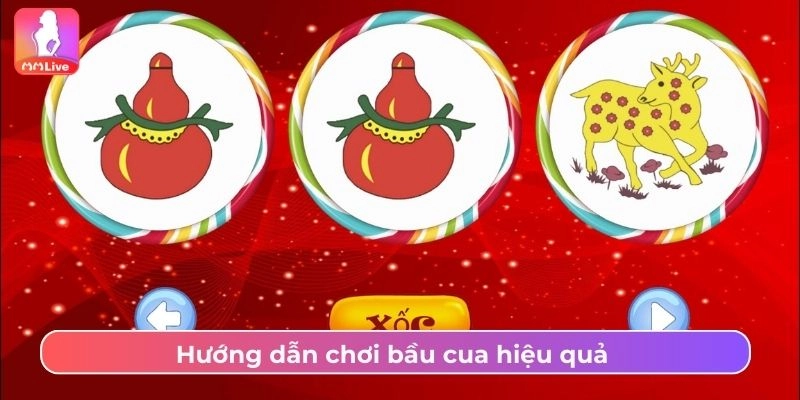Bầu Cua MMlive Dễ Thắng, Tỷ Lệ Trả Thưởng Cao Nhất Hướng dẫn chơi bầu cua hiệu quả