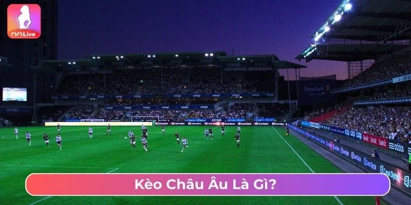 Kèo châu Âu có ba cửa cược chính