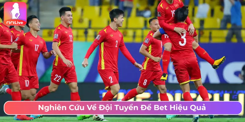 Nghiên cứu về đội tuyển để bet hiệu quả