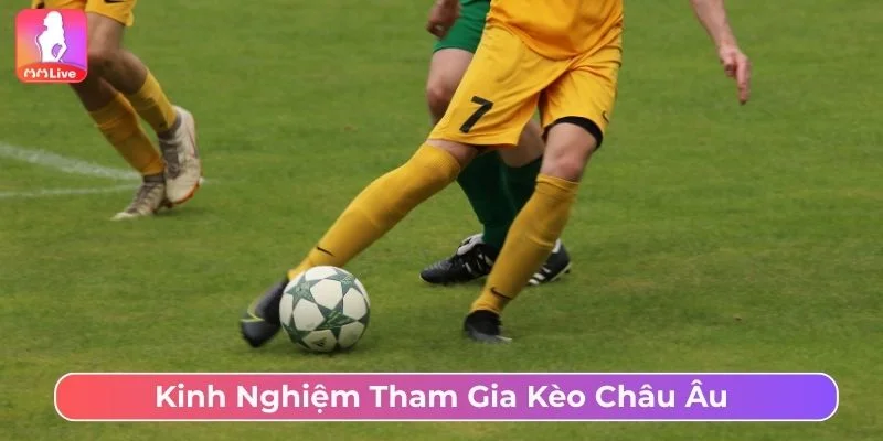 Tham khảo kinh nghiệm cược kèo châu Âu