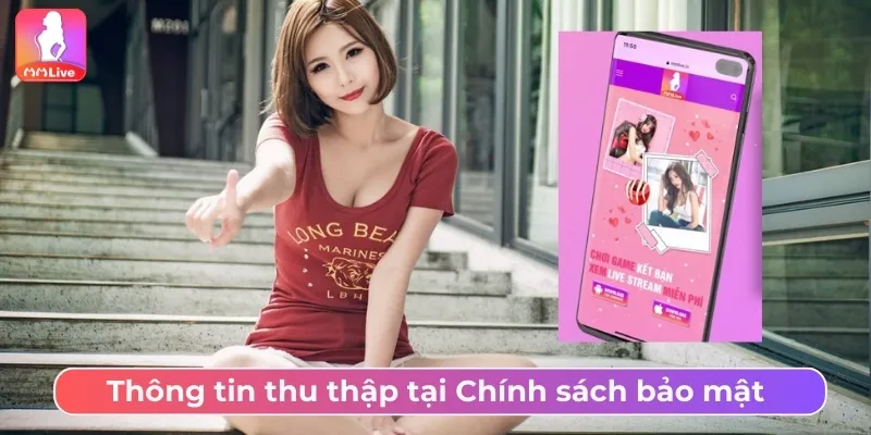 Thông tin thu thập tại Chính sách bảo mật