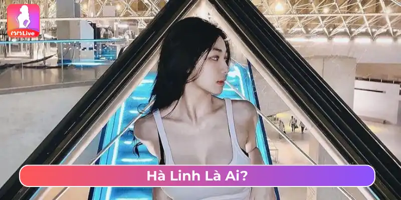 Trần Hà Linh là nữ TikToker nổi tiếng 