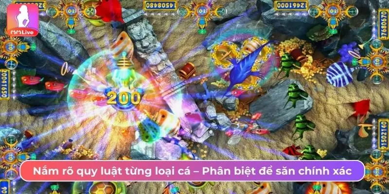 Nắm rõ quy luật từng loại cá trong MMlive